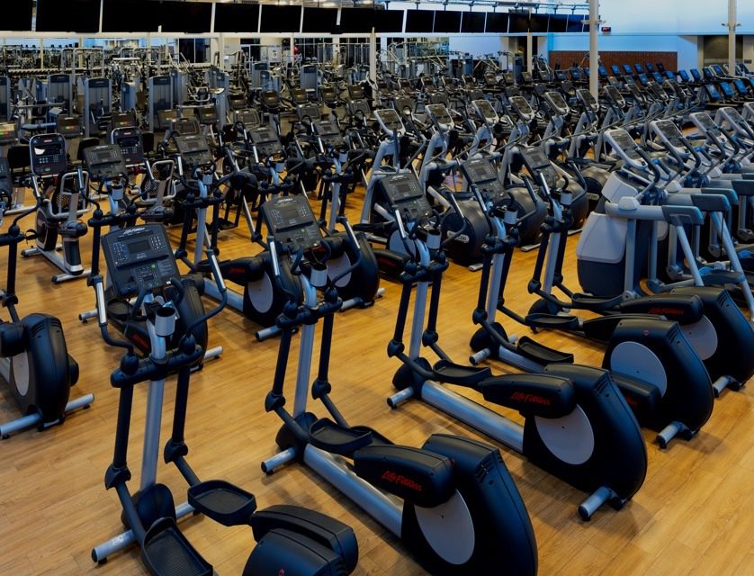 rows of cardio machines in a modern gym