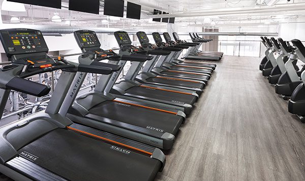 brick bodies gym in rotunda offers cardio training with treadmills