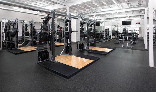 brick bodies freeweight platform at rotunda md gym