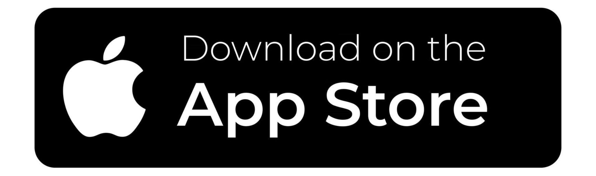 Brick Bodies Apple App Store